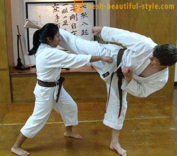 Japonské typy bojových umení: opis, vlastnosti a zaujímavosti