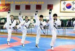Čo je Taekwondo? Popis a pravidlá bojového umenia