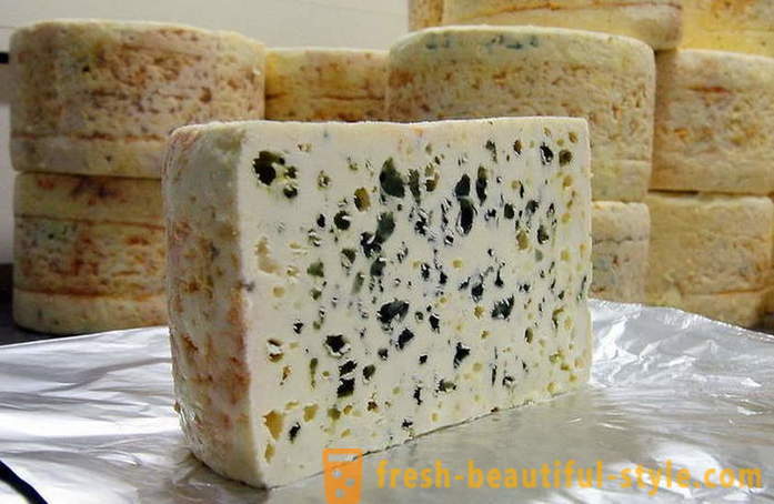 Výrobný proces francúzskom Roquefort syr zo starých receptúr