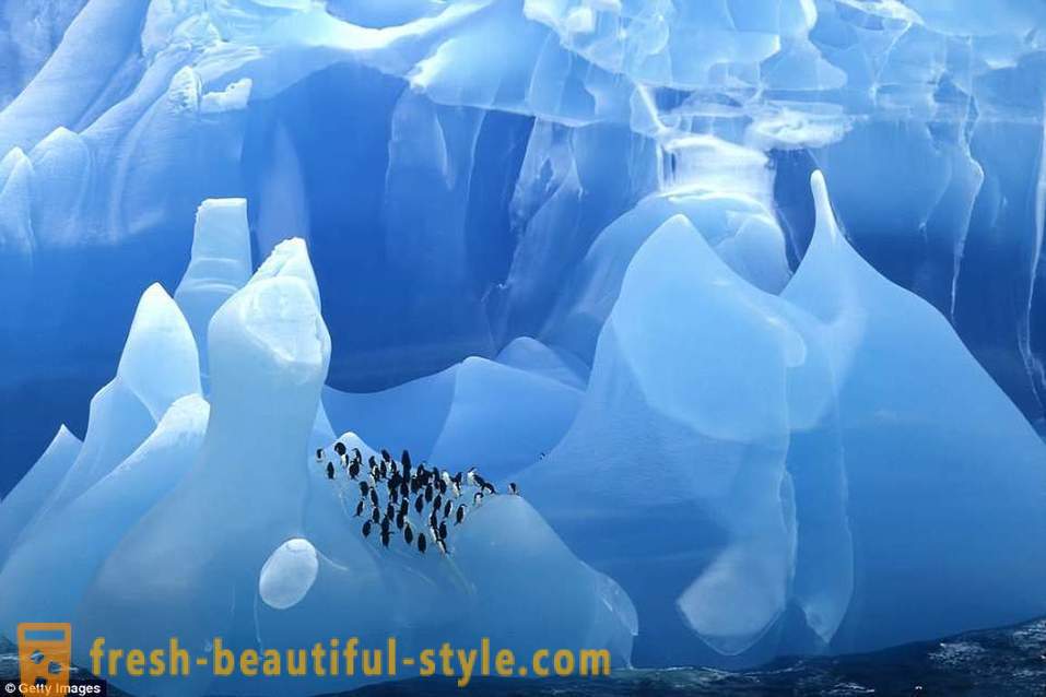 Camy svetových starovekých ľadovcov