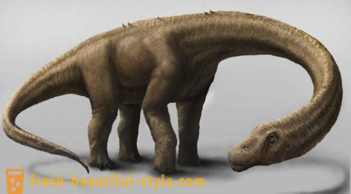 Unikátny nálezy spojené s dinosaurami
