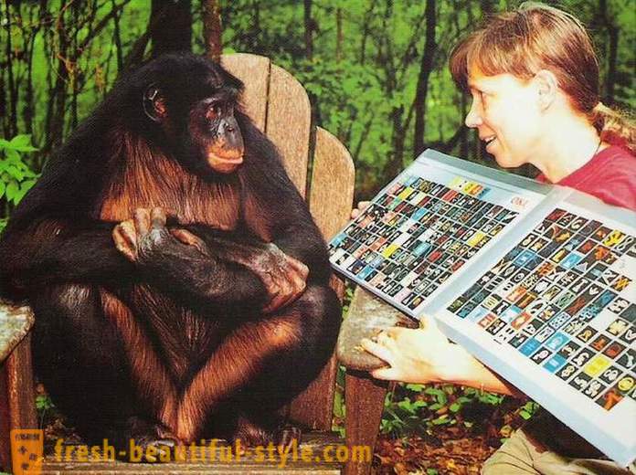 Opice, ktoré sa ľudia učia hovoriť