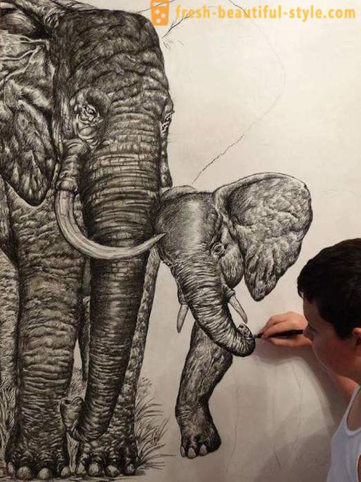 Srbský teenager kreslí úžasné portréty zvierat pomocou ceruzky alebo guličkového pera