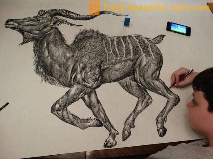 Srbský teenager kreslí úžasné portréty zvierat pomocou ceruzky alebo guličkového pera