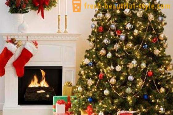 Kde môžete použiť sušené vianočný strom