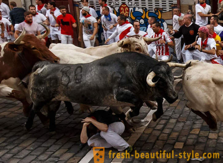 Aká bola ročná beh býkov v Pamplone v Španielsku