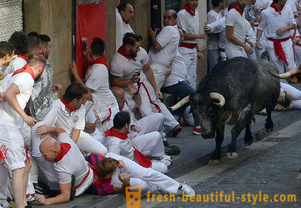 Aká bola ročná beh býkov v Pamplone v Španielsku