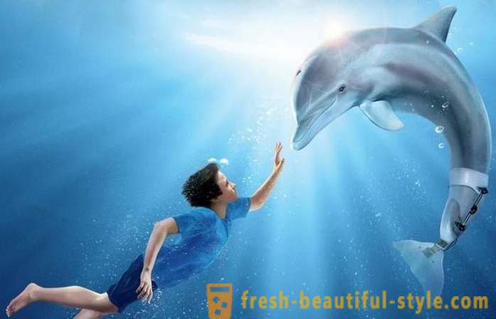 Výber z filmov o delfínov