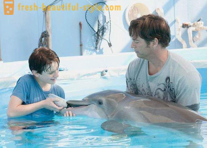 Výber z filmov o delfínov