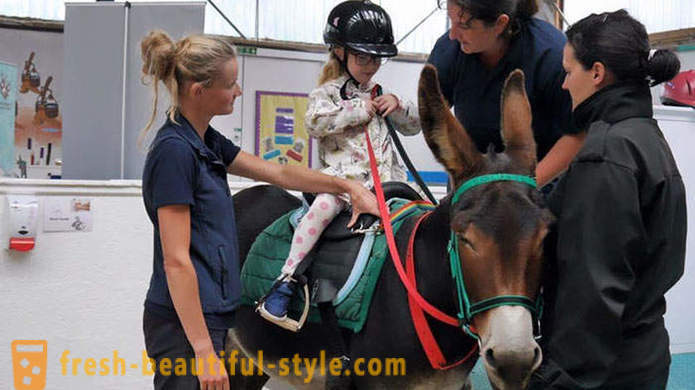 Terapia so zvieratami: nemý dievča začala hovoriť skrze osla