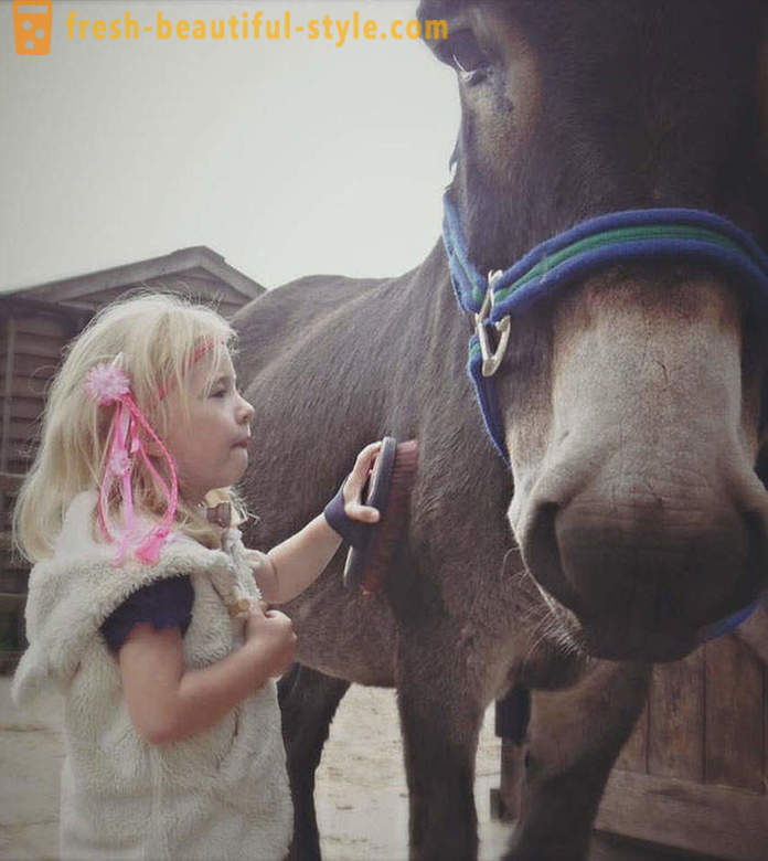 Terapia so zvieratami: nemý dievča začala hovoriť skrze osla