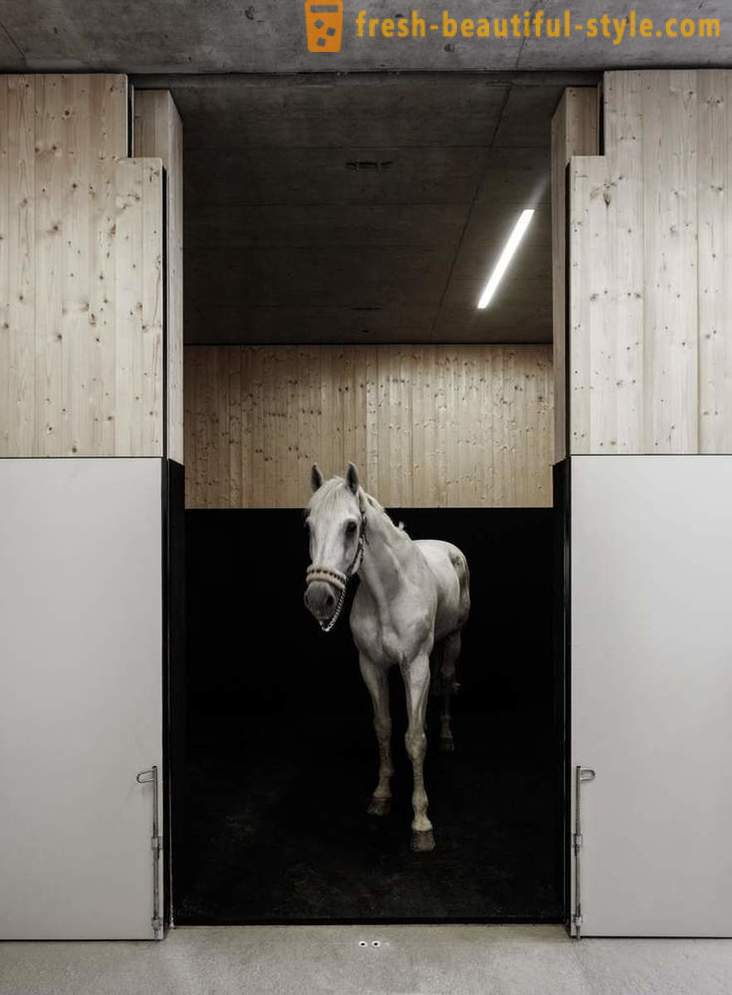 Dizajn veterinárnej kliniky pre kone v Rakúsku