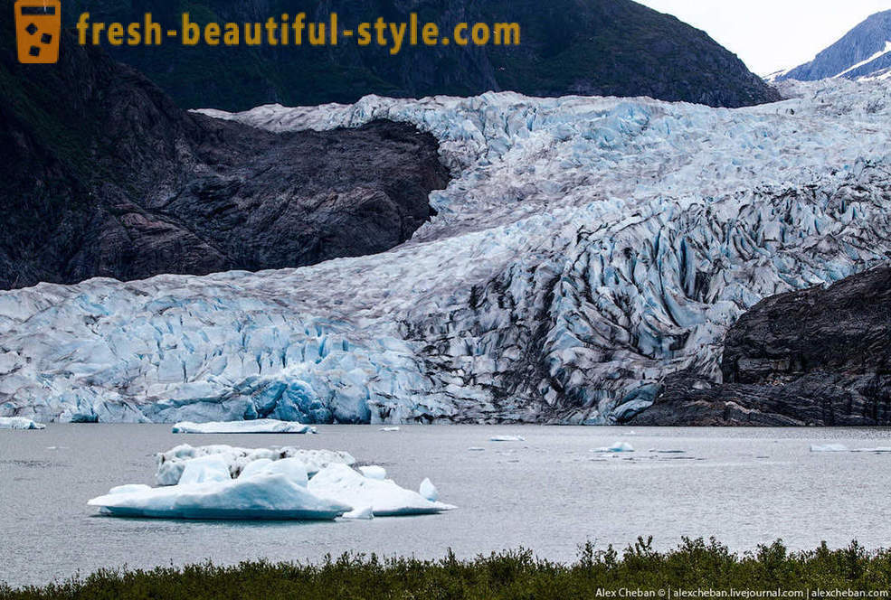 Ľadovce na Aljaške