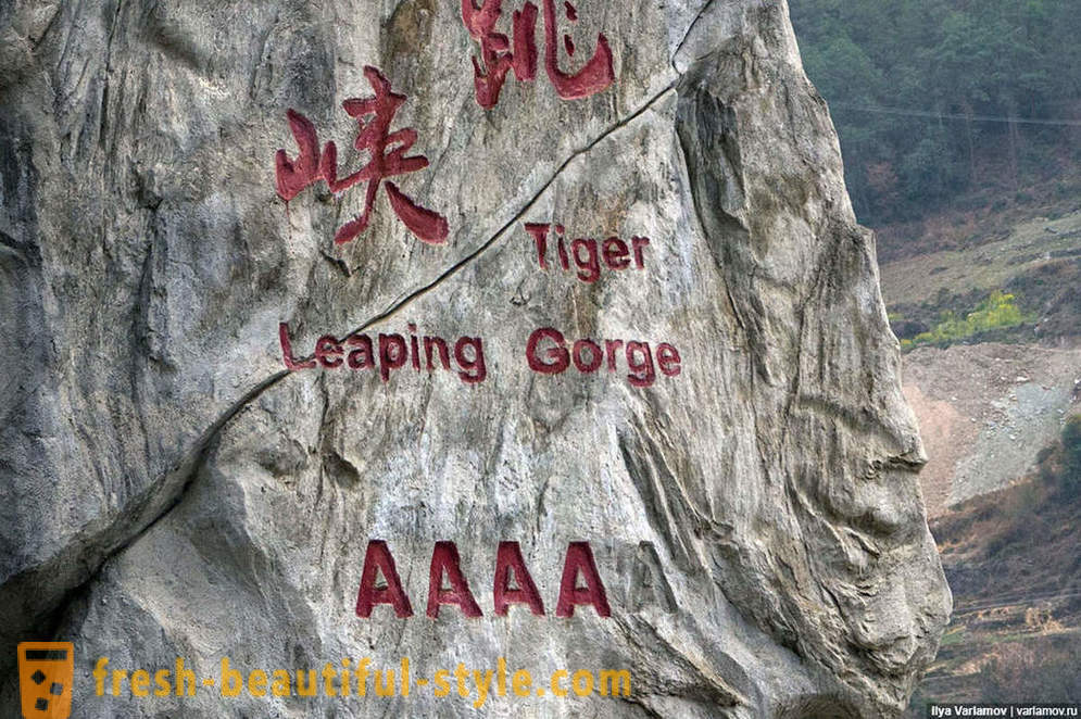 Tiger Skákajúci Gorge