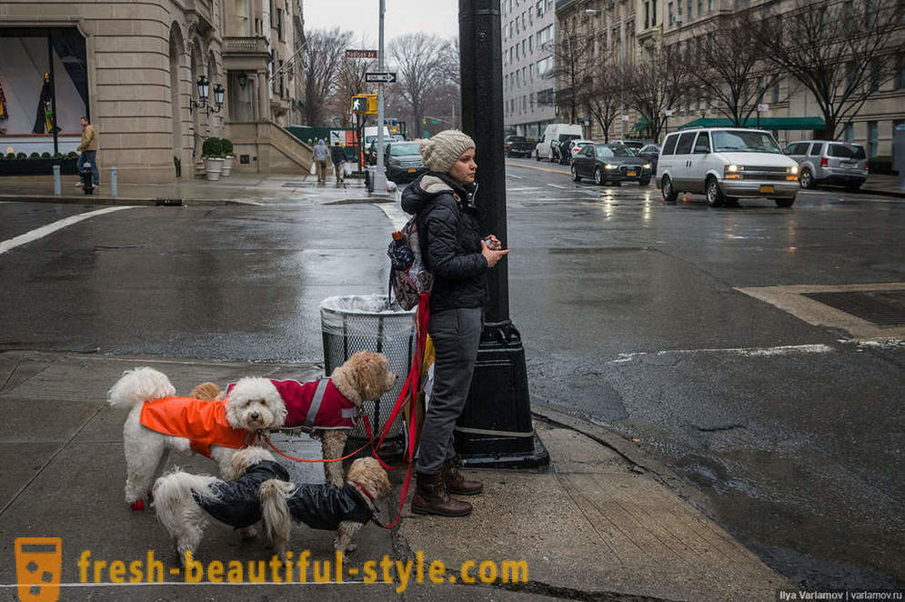 New York: Zvláštne móda, zlé cesty a hotel budúcnosti