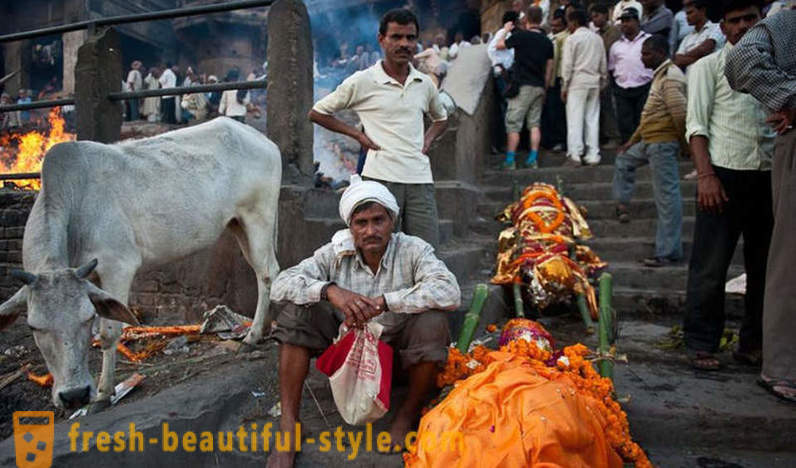 The Untouchables: The Story of najnižšej kasty v Indii