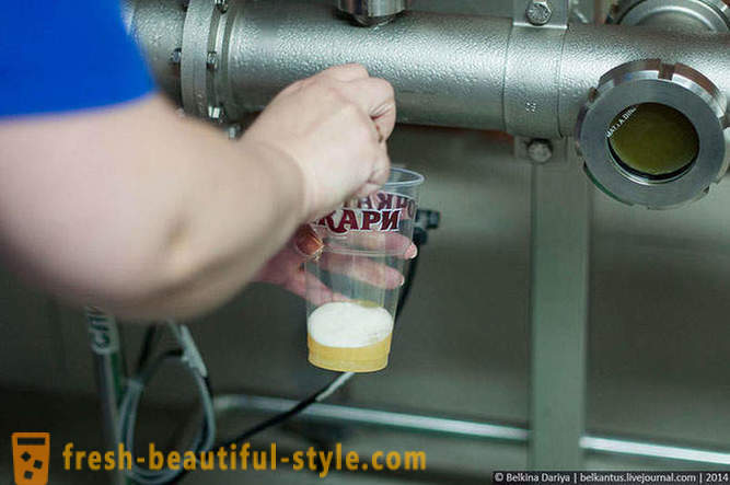 Ako sa robí pivo v Altajské území
