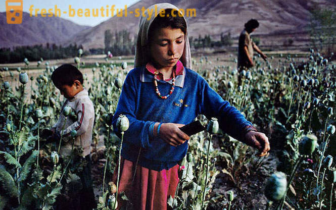 Afganistan optikou Steve McCurry