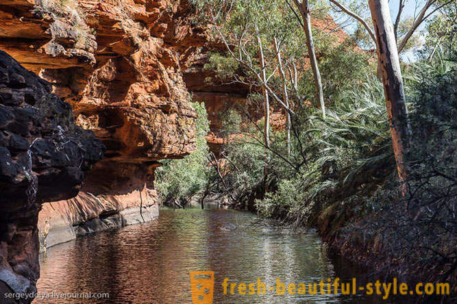 Prechádzka Kings Canyon v Austrálii