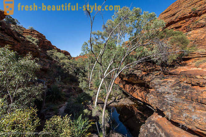 Prechádzka Kings Canyon v Austrálii