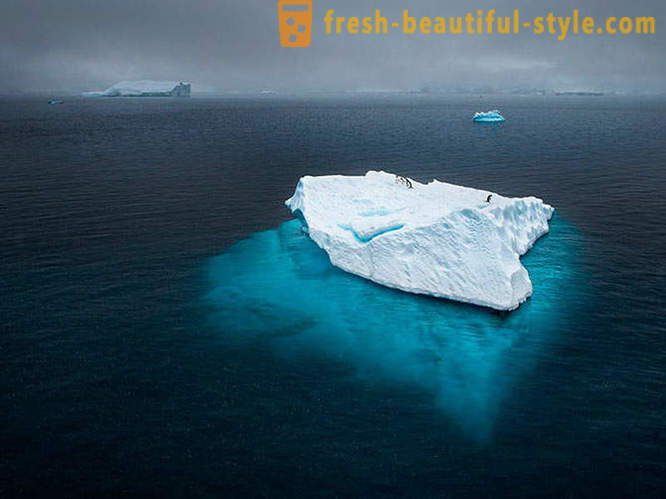 Najlepšie fotografie z roku 2012 National Geographic
