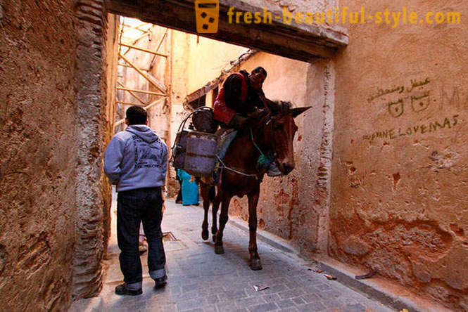 Fez - najstarší z kráľovských miest Maroka