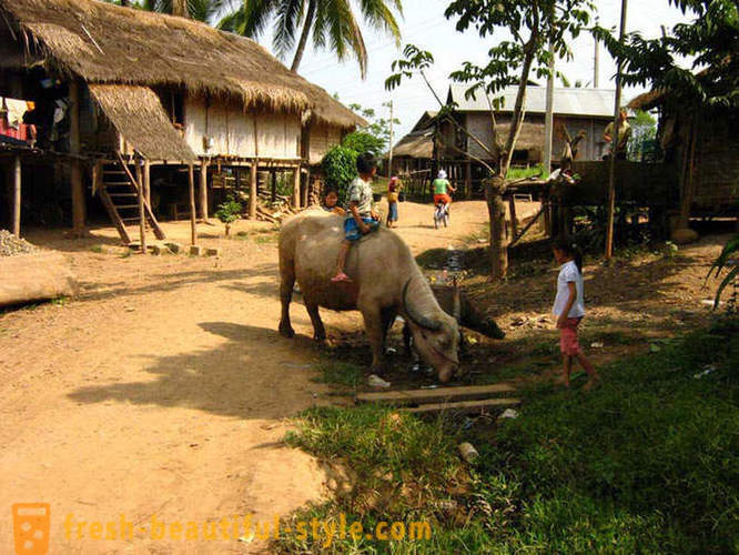 GeoFresher - Ako žiť v Laose