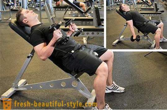 Cvičenie biceps. Program školenia pre biceps