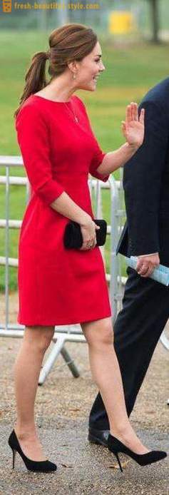 Red dress-case: najlepšia kombinácia, najmä výber a odporúčania