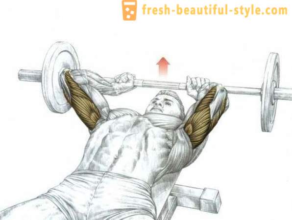 Najlepšie cvičenie triceps v telocvični