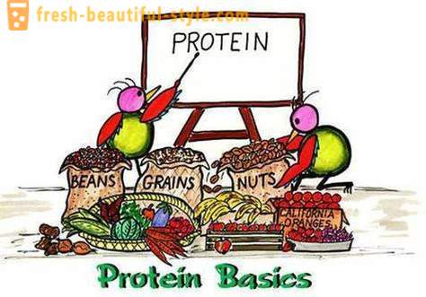 Čo sú proteíny? Kto a ako sa proteín