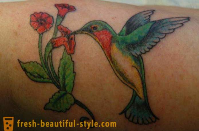 Kolibrík tetovanie - symbol vitality a energie