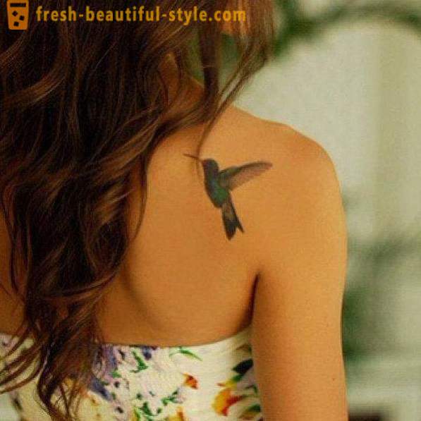Kolibrík tetovanie - symbol vitality a energie