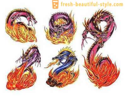 Dragon: Hodnota tetovanie a skíc. Ako si vybrať draka tetovanie?