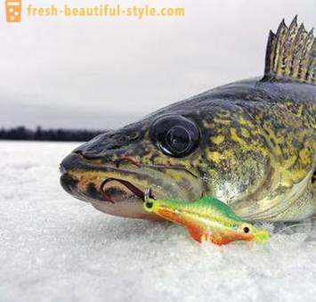 Rybolov na hojdacom kresle v zime. Technika rybolovu na kladine