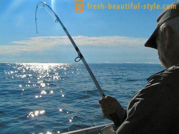 Mám rád chytá ryby? Rybárčenie na jazere, rieky a more. Ako na ryby s pradenie?