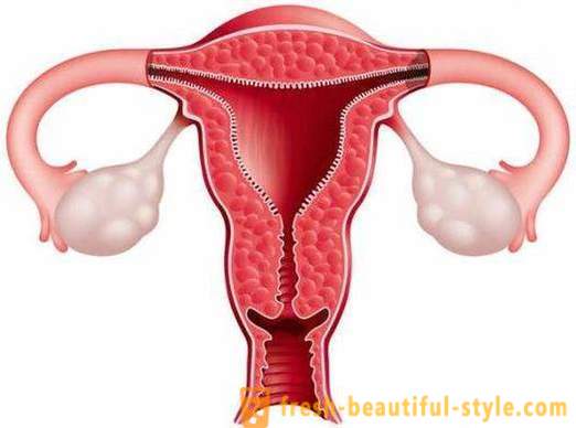 Ako zvýšiť endometria