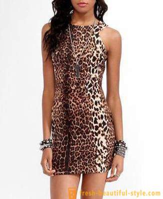 Leopard šaty krásny dravec